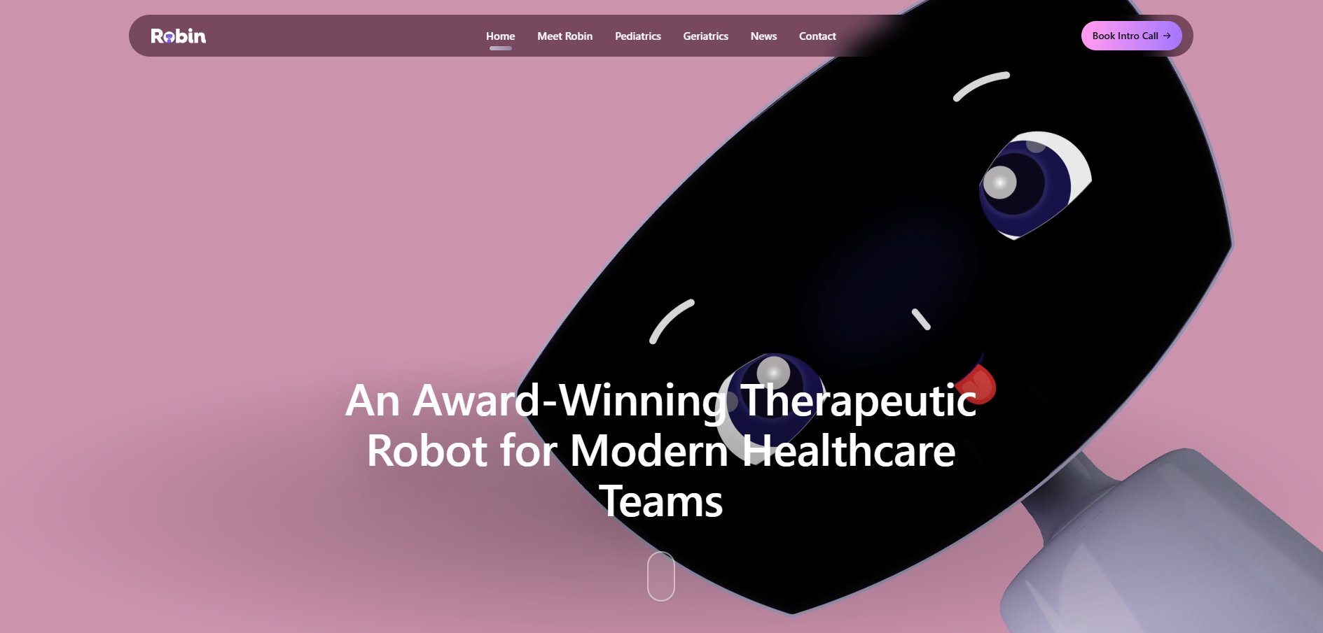 Robin Therapeutic Healthcare Robot